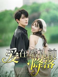 爱在婚礼前降落（50集）高质量短剧推荐