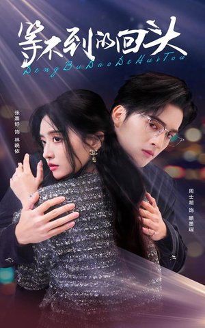 等不到的回头(35集) 等不到的回头(35集)集免费看短剧