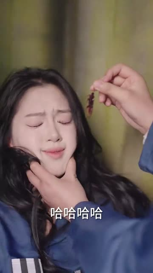 等麦子熟了我就向南走走（41集）全集一次看完