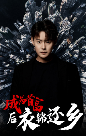 成为首富后衣锦还乡（30集）口碑之选免费看