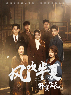 风吹半夏之野蛮生长（59集）精彩短剧合集