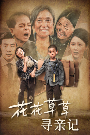 花花草草寻亲记(42集) 花花草草寻亲记(42集)女频短剧推荐