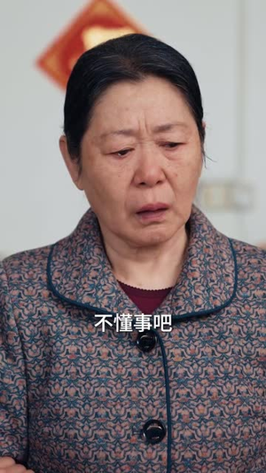 回家过年遇到极品亲戚（29集）全集