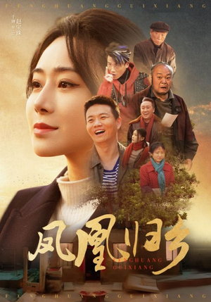 凤凰归乡（33集）热门短剧分享