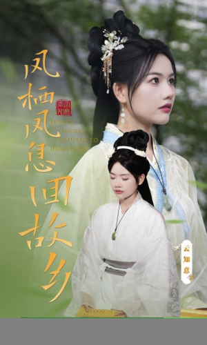 凤栖凤息回故乡(36集) 凤栖凤息回故乡(36集)热门短剧免费看