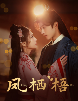 凤栖梧（60集）免费观看全集