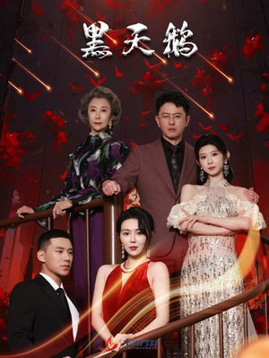 黑天鹅(51集) 黑天鹅(51集)热门短剧推荐
