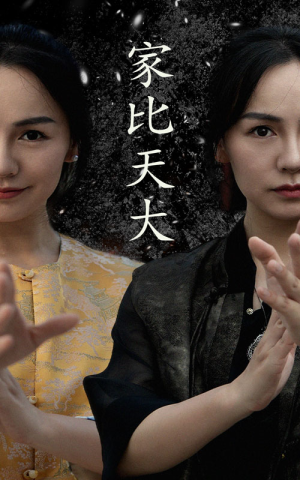 家比天大(63集) 家比天大(63集)好看短剧分享