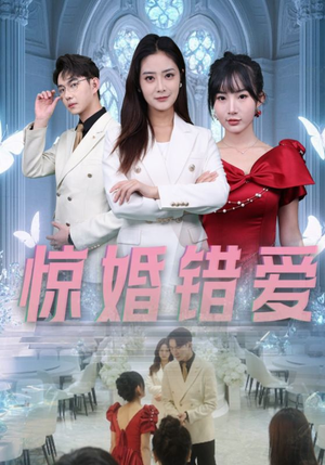 惊婚错爱(30集) 惊婚错爱(30集)男主角是谁