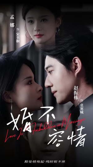 婚不容情(89集) 婚不容情(89集)热门短剧抢先