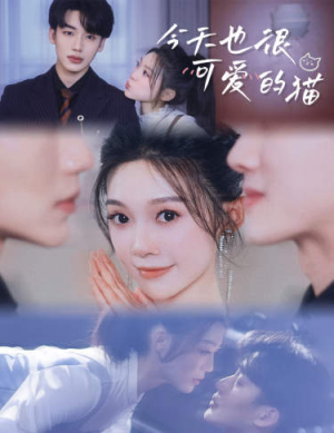 今天也很可爱的猫（72集）无需会员轻松看