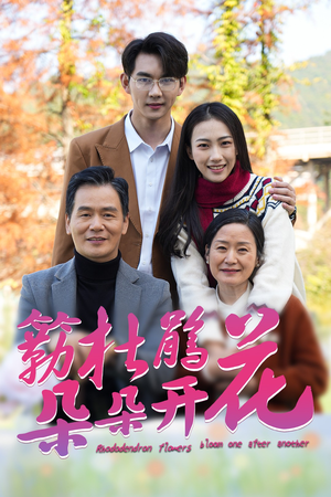 簕杜鹃花朵朵开（38集）抢先看新短剧