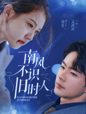 南风不识旧时人（63集）看到了大结局
