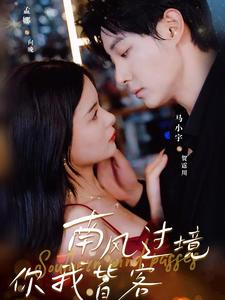 南风国境你我皆客（80集）推荐热门短剧