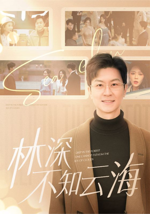 林深不知云海(84集) 林深不知云海(84集)免费看全集