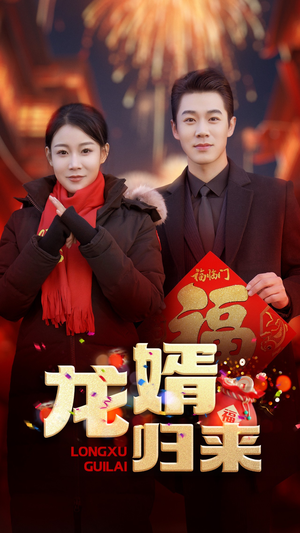 龙婿归来（27集）短剧完整版免费