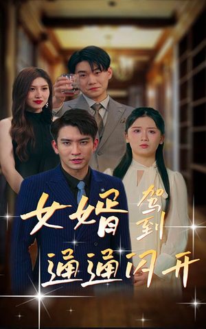 女婿驾到，通通闪开（34集）短剧全集免费看