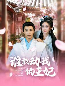 谁敢动我的王妃（62集）热门短剧推广