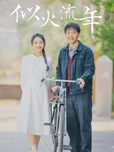 似火流年（100集）最新短剧抢先看