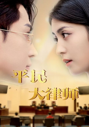 平民大律师（95集）第二季