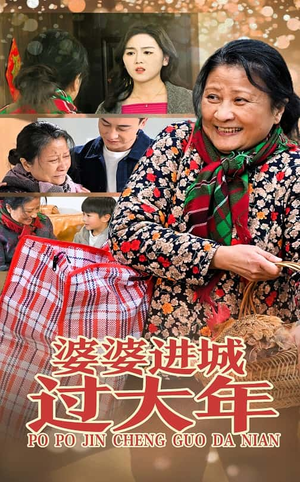 婆婆进城过大年(33集) 婆婆进城过大年(33集)免费短剧片段