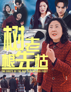 树老根先枯（33集）评价怎么样