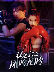 双龙会之凤鸣龙吟(80集) 双龙会之凤鸣龙吟(80集)免费全集短剧