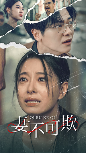 妻不可欺(51集) 妻不可欺(51集)哪个网站可以看