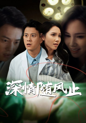 深情随风止（54集）短剧演员排行榜