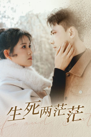 生死两茫茫（35集）热门短剧来袭