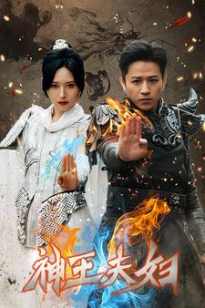 神王夫妇（167集）精彩好看短剧