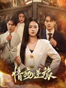 情殇逆旅（90集）精彩短剧合集