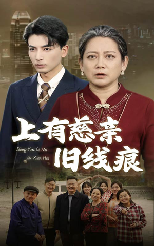 上有慈亲旧线痕（64集）解说文案