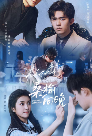 桑榆向晚（65集）在哪个app能看