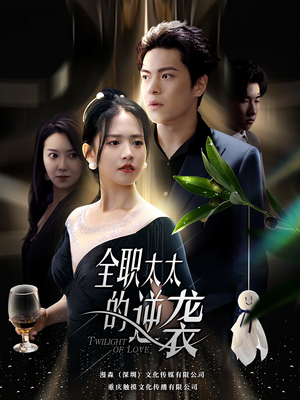 全职太太的逆袭（80集）免费短剧合集