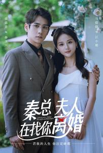 秦总，夫人在找你离婚（79集）短剧热门推荐