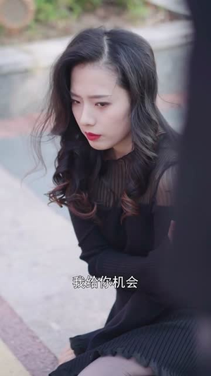 如果爱可以重来（48集）第一季