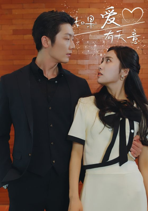 如果爱有天意（80集）熬夜追短剧