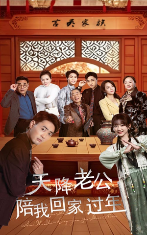 天降老公陪我回家过年（60集）番茄免费短剧