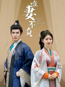 唯妻不负（80集）UC网盘在线看