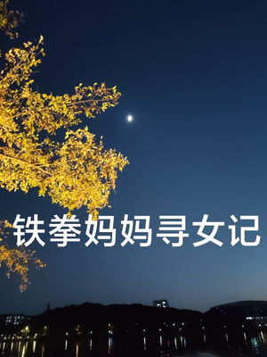 铁拳妈妈寻女记（69集）让你一口气看完