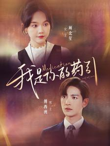 我是你的药引(100集) 我是你的药引(100集)在线看