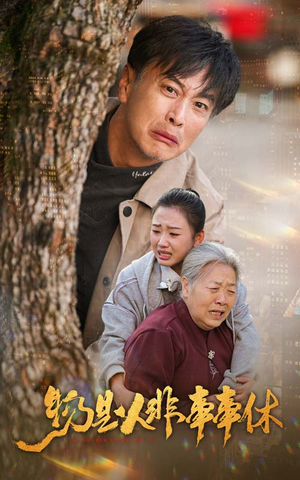 物是人非事事休（41集）短剧免费看