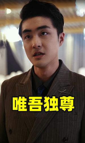 唯吾独尊（96集）看过的人都说好