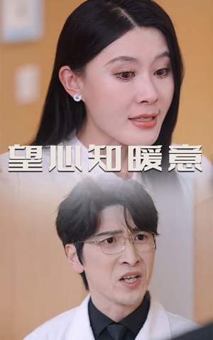 望心知暖意（31集）爆火短剧推荐