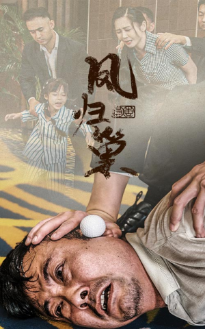 新版：凤归巢（68集）短剧推荐上热门