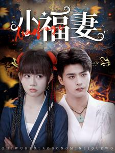 小福妻(62集) 小福妻(62集)一共多少集