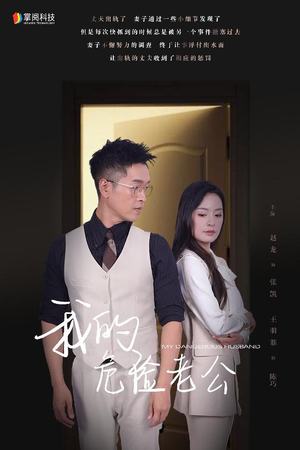 我的危险老公（63集）热门短剧抢先