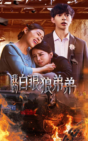 我的白眼狼弟弟(69集) 我的白眼狼弟弟(69集)追短剧太上头了
