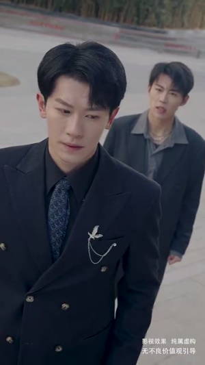 雾港缠绵（100集）追短剧看全集